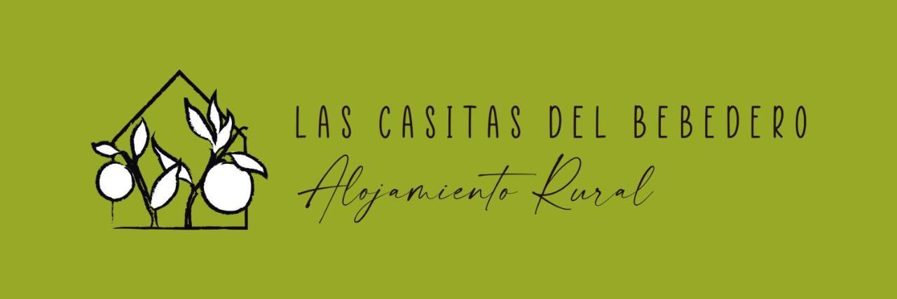 איקוד דה לוס וינוס Las Casitas Del Bebedero - Yoga & Ecoturismo מראה חיצוני תמונה