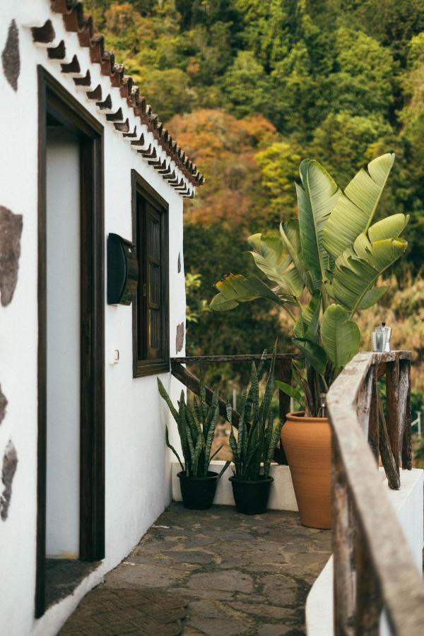 איקוד דה לוס וינוס Las Casitas Del Bebedero - Yoga & Ecoturismo מראה חיצוני תמונה
