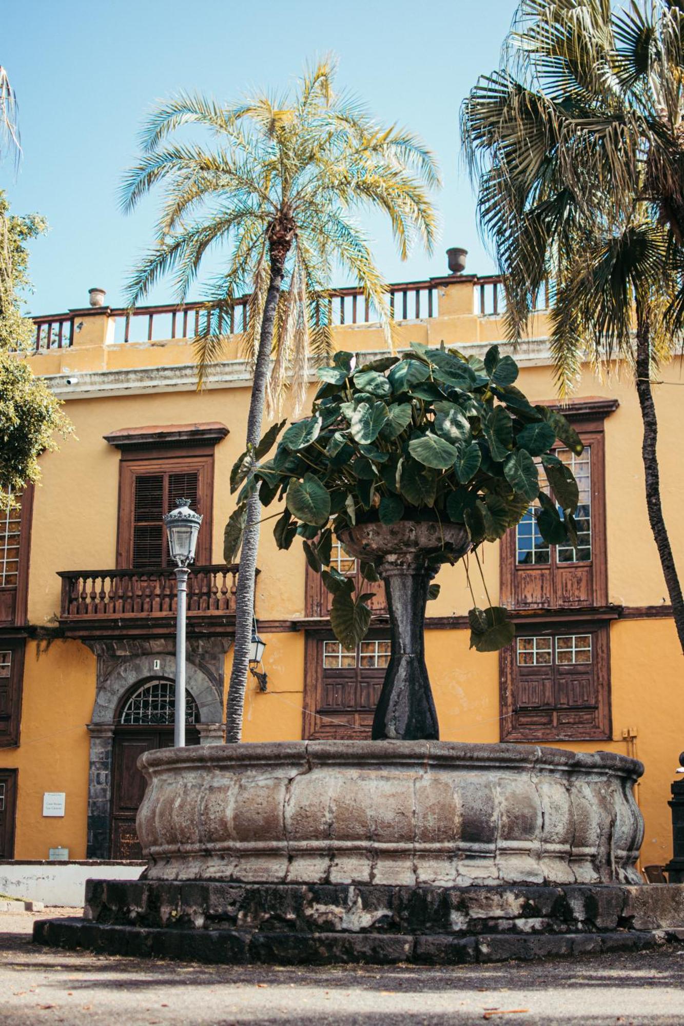 איקוד דה לוס וינוס Las Casitas Del Bebedero - Yoga & Ecoturismo מראה חיצוני תמונה
