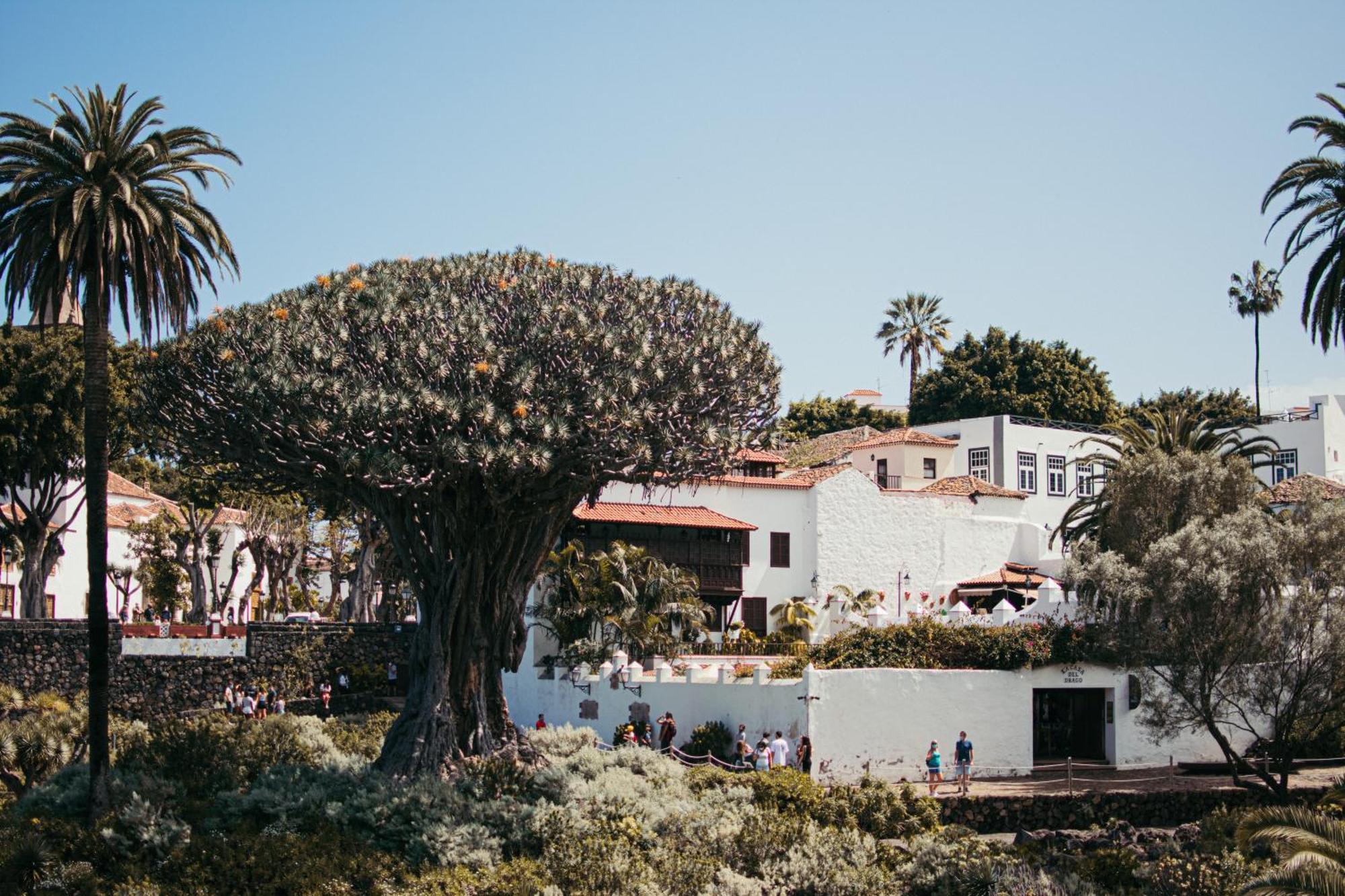 איקוד דה לוס וינוס Las Casitas Del Bebedero - Yoga & Ecoturismo מראה חיצוני תמונה